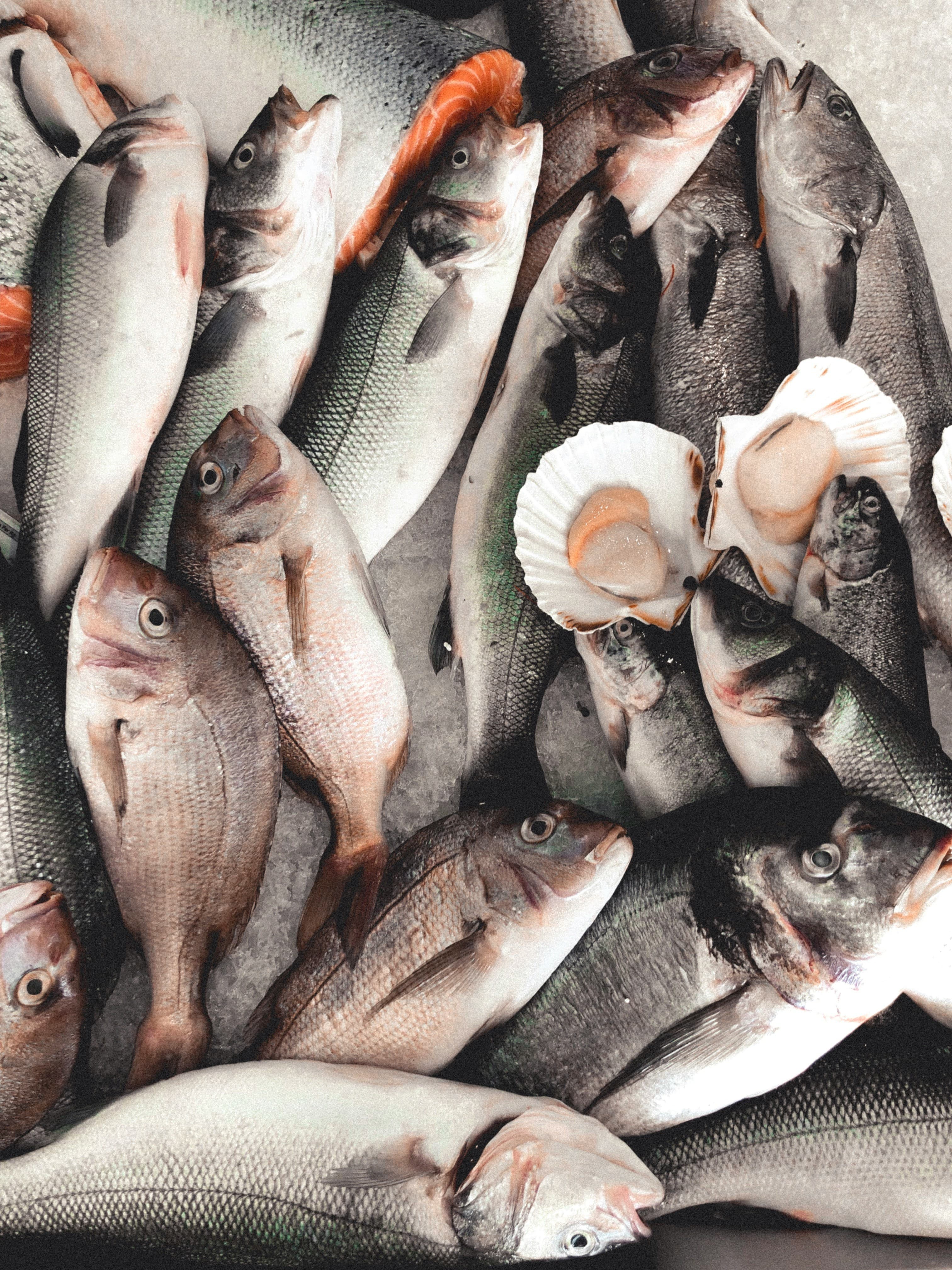 Omega-3 product solution visual