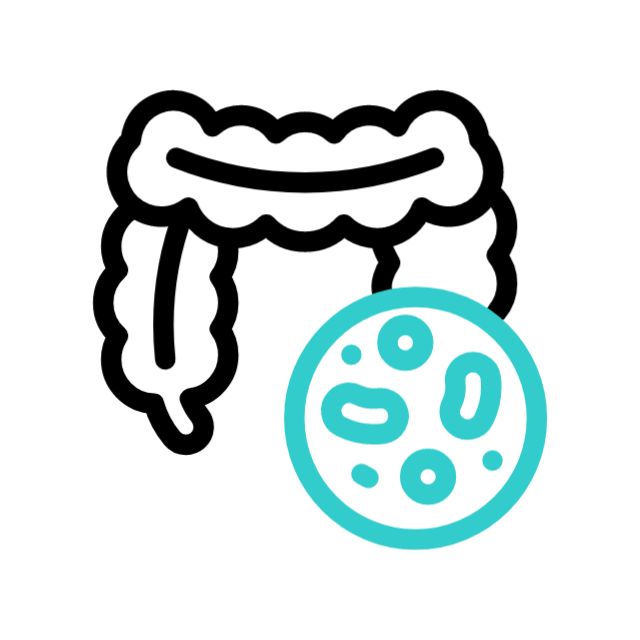 Gut Health benefit icon